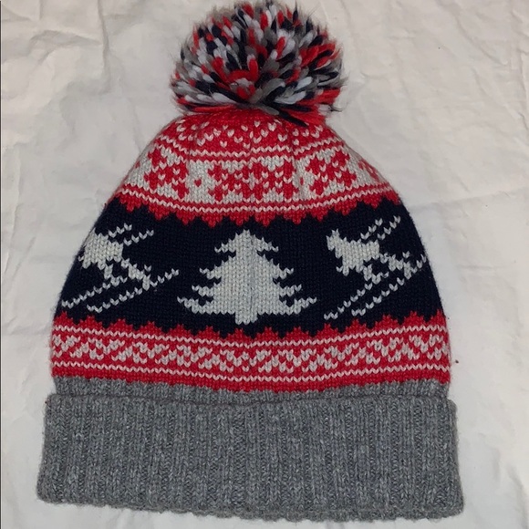 American Eagle Outfitters Other - American Eagle Skiing Pom Pom Hat